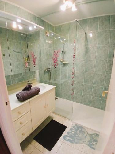 une salle de bain avec douche et lavabo dans l'établissement Le Concorde, à Saint-Raphaël