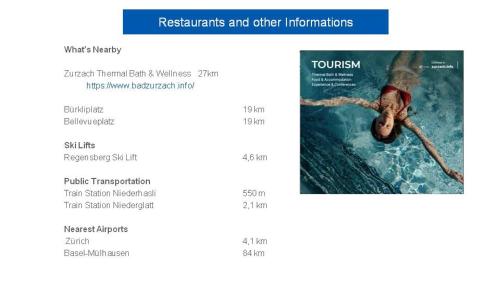 a screenshot of a webpage of a pool website at Entspannen, private Maisonette Dachwohnung in Dielsdorf