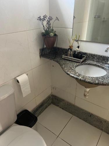 a bathroom with a sink and a toilet and a mirror at Apto á 3km do inhotim in Brumadinho