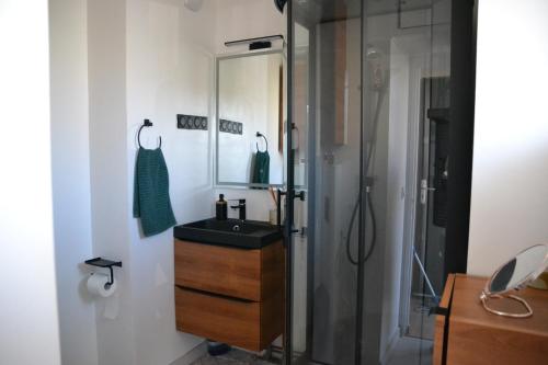 une salle de bain avec un lavabo et une douche dans l'établissement Palavas les Flots Appartement T2 à 5 min de la plage, à Palavas-les-Flots