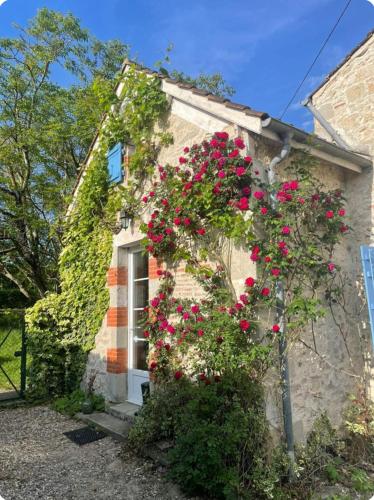 Dog friendly gîte with private Garden, jacuzzi and pool