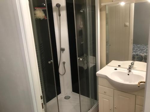 une salle de bain avec douche et lavabo dans l'établissement Dog friendly gîte with private Garden, jacuzzi and pool, à Penne-dʼAgenais