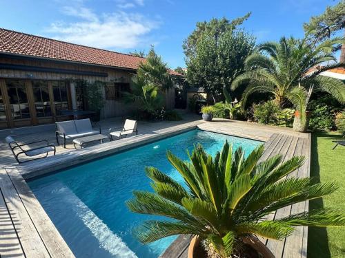 Πισίνα στο ή κοντά στο La kabane de Manou, maison de charme Cap Ferret