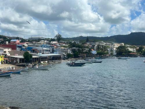 a group of boats in a body of water with buildings at la Désirade in Sainte-Luce