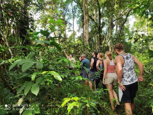 a group of people walking through the forest at Jacamar Lodge Expeditions in Iquitos