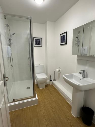 a bathroom with a shower and a toilet and a sink at The Nook - Town Centre Apartment in Hoddesdon