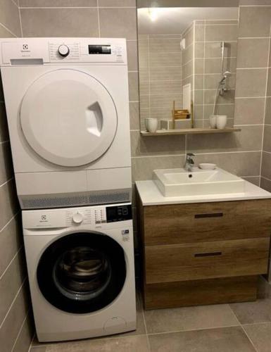une machine à laver dans une salle de bain à côté d'un lavabo dans l'établissement Ski in and ski out in Oz, Alpe d'Huez, à Oz