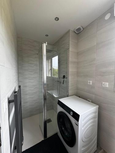 a washing machine in a bathroom with a shower at L'oasis Urbaine in Châtillon-sur-Seine