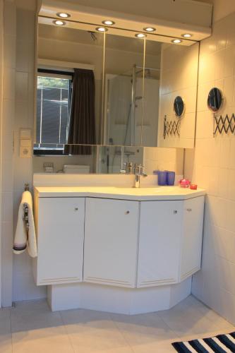 a bathroom with a white sink and a mirror at Maison Spacieuse near Brussels in Meise