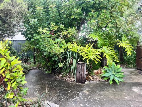 Un jardín fuera de Secret Garden Shack