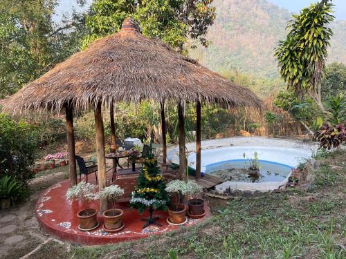 Κήπος έξω από το Chiang Dao Roundhouses