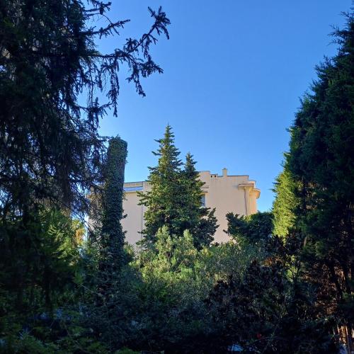 Photo de la galerie de l'établissement Palm Beach, à Cannes