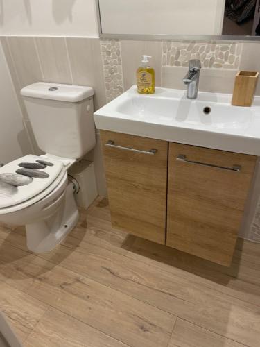 une salle de bain avec toilettes et lavabo dans l'établissement La maison de Tedone, à Arles-sur-Tech
