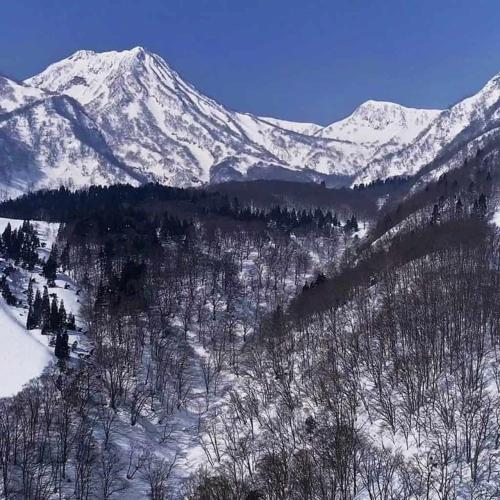 a snowy mountain range with trees and snow covered mountains at 関温泉 吉野屋温泉旅館 in Myoko