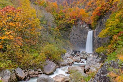 a waterfall in the middle of a river with trees at 関温泉 吉野屋温泉旅館 in Myoko