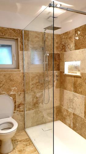 une salle de bain avec une douche en verre et des toilettes dans l'établissement Les Gites Sur La Colline - 21 m2 studio with shared pool, à Montignac-de-Lauzun
