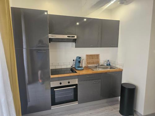 - une cuisine avec des placards gris et un évier dans l'établissement Chez Camille, à Dieppe