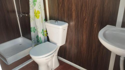 a bathroom with a toilet and a sink at Ammarin Bedouin Camp in Wadi Musa