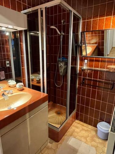 une salle de bain avec douche et lavabo dans l'établissement Chez chris, à Sète
