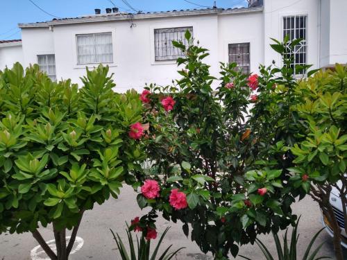 Κήπος έξω από το Linda Casa de dos pisos en Floridablanca, Comoda y Privada