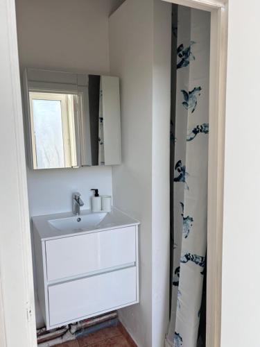 a bathroom with a sink and a mirror at Studio Nahida in Brussels