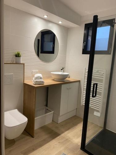 une salle de bain avec un lavabo, des toilettes et un miroir dans l'établissement Charmant studio pont de Kerino-Chorus-Conleau, à Vannes