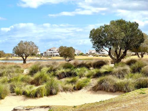 a field of grass with trees and a house in the background at Stunning sunlight apartment with a pool view in Sucina