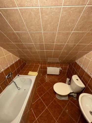 a bathroom with a toilet and a bath tub at Penzion Erika in Boží Dar
