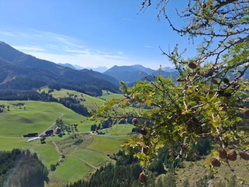 a view of the mountains from the top at Bauernhof Ablass in Göstling an der Ybbs