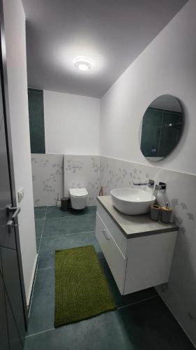 Bilik mandi di A Frame Pietrele Șoimului