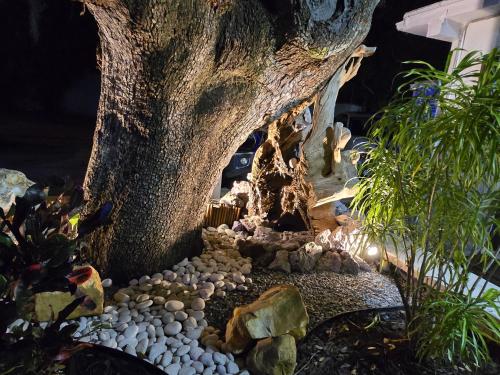 a garden with a tree and rocks around it at Barefoot mailman motel in Lantana