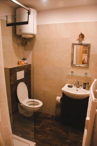 a bathroom with a toilet and a sink at Apartmán č.2 in Banská Štiavnica