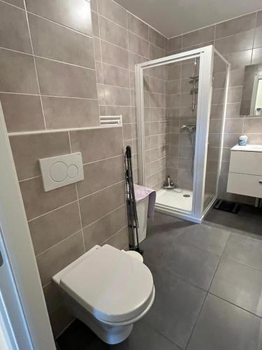 une salle de bain avec toilettes, lavabo et douche dans l'établissement Le Léman, à Thonon-les-Bains