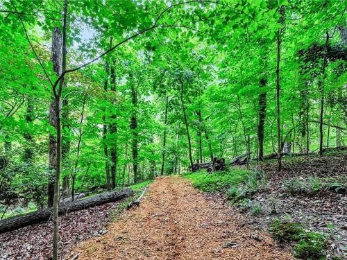 a dirt road in a forest with green trees at Georgia Lakeside Getaway with Private Pool in Flowery Branch
