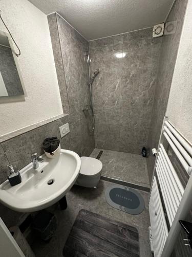 a bathroom with a sink and a toilet and a shower at Pension Alina auf der Alb in Erkenbrechtsweiler