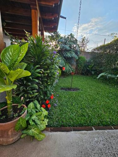 a garden with plants and flowers in a yard at Restful Hideaway near Antigua in Antigua Guatemala