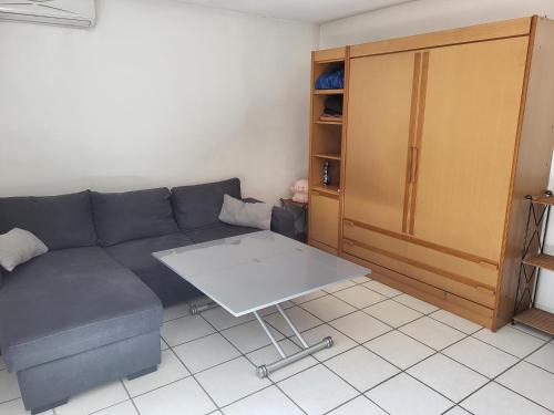 un salon avec un canapé et une table dans l'établissement Maisonnette près du centre ville, à Saint-Maximin-la-Sainte-Baume