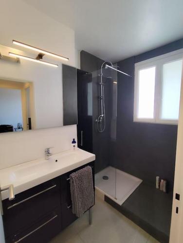 une salle de bain avec un lavabo et une douche dans l'établissement Appartement Le Repère du Vert Galant, à Billère