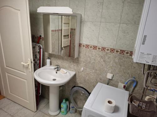 a small bathroom with a sink and a mirror at Apartment Kale in Novi Sad