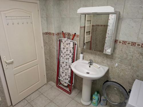 a bathroom with a sink and a mirror at Apartment Kale in Novi Sad