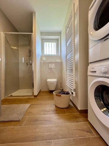 une salle de bain avec machine à laver et toilettes dans l'établissement Chez Jean ! Au pied du vignoble, à 5 min de Colmar, à Ingersheim
