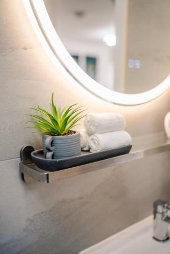 a bathroom with a mirror and a plant on a shelf at Amias Homes in Cardiff