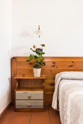 a plant on a night stand next to a bed at Hotel Residence - Il Giardino del Cigno in Latisana