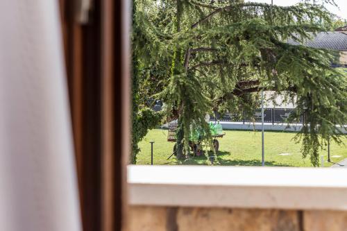 a window view of a tree in a park at Hotel Residence - Il Giardino del Cigno in Latisana