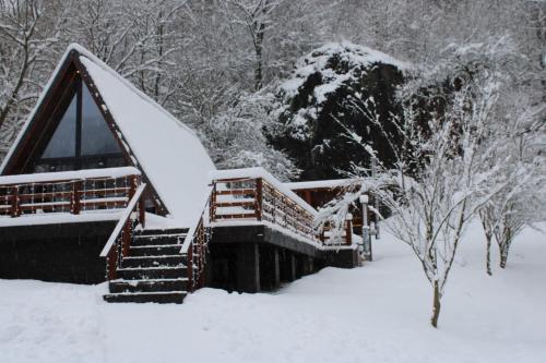 a cabin with a snow covered roof and stairs at Valea Mosului - Cozy A Frame in Petroşani