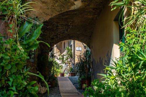 an archway in a building with plants at Ca D'artista For Nature Lovers - Happy Rentals in Stellanello