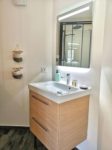 une salle de bain avec un lavabo et un miroir dans l'établissement Joli Studio indépendant à 20 min de Paris, à Villennes-sur-Seine