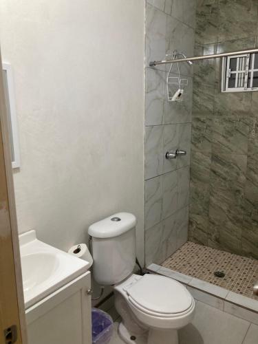 a bathroom with a toilet and a shower at Departamento amplio y tranquilo in Mexicali