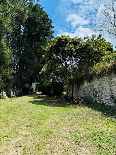 a stone wall with a tree and some trees at Apartamento en Villa Toscana en Boyaca in Ramiriquí