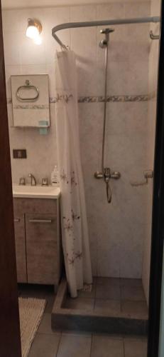 a bathroom with a shower with a shower curtain at Nido del Cormorán in Ushuaia